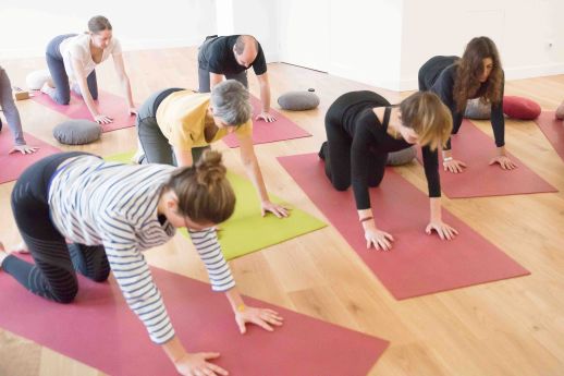 Dos creux dos rond du chat